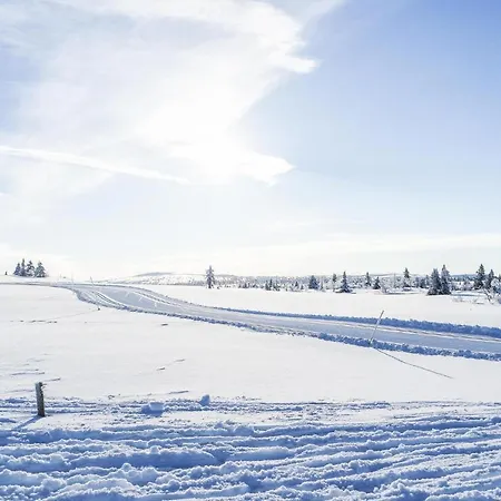 Dom wakacyjny Cozy In