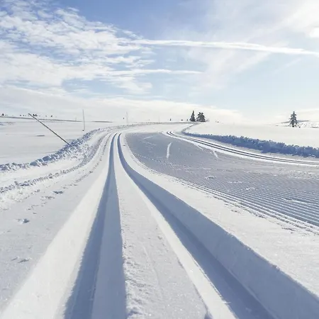 펜션 Cozy In Sjusjoen